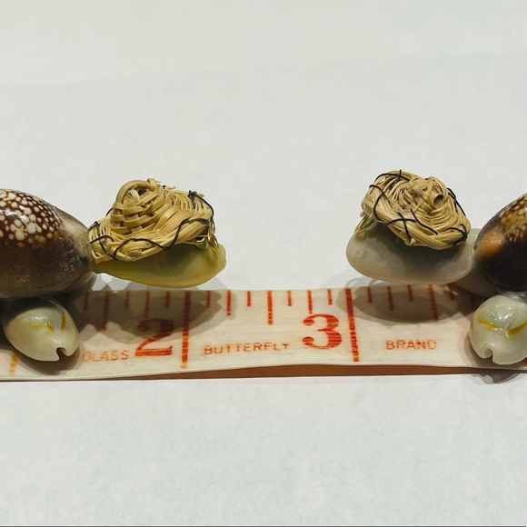 Cowrie Shell Turtles  Set of 2  Handmade - Picture 9 of 9